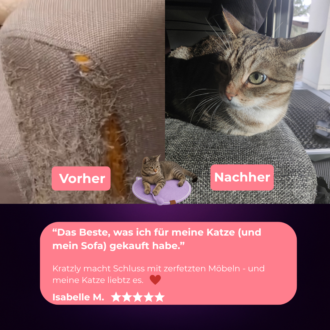 Kratzly – Wo Funktion auf Stil trifft