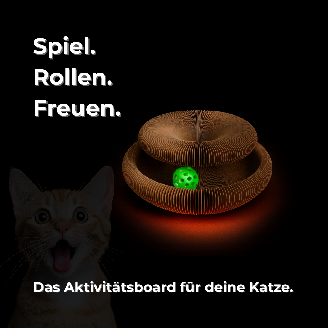 MauziLoop – Das Katzenspielzeug, das endlich wirklich funktioniert