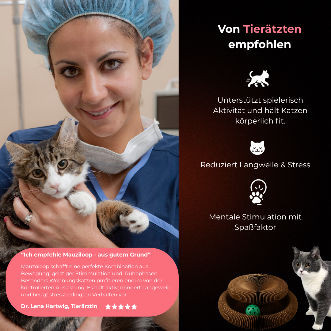 MauziLoop – Das Katzenspielzeug, das endlich wirklich funktioniert