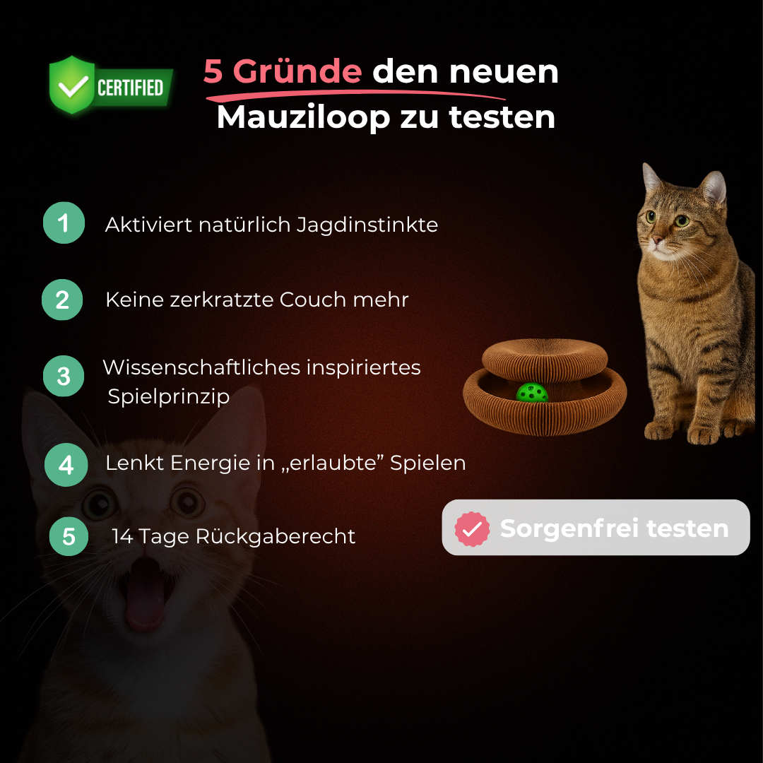 MauziLoop – Das Katzenspielzeug, das endlich wirklich funktioniert