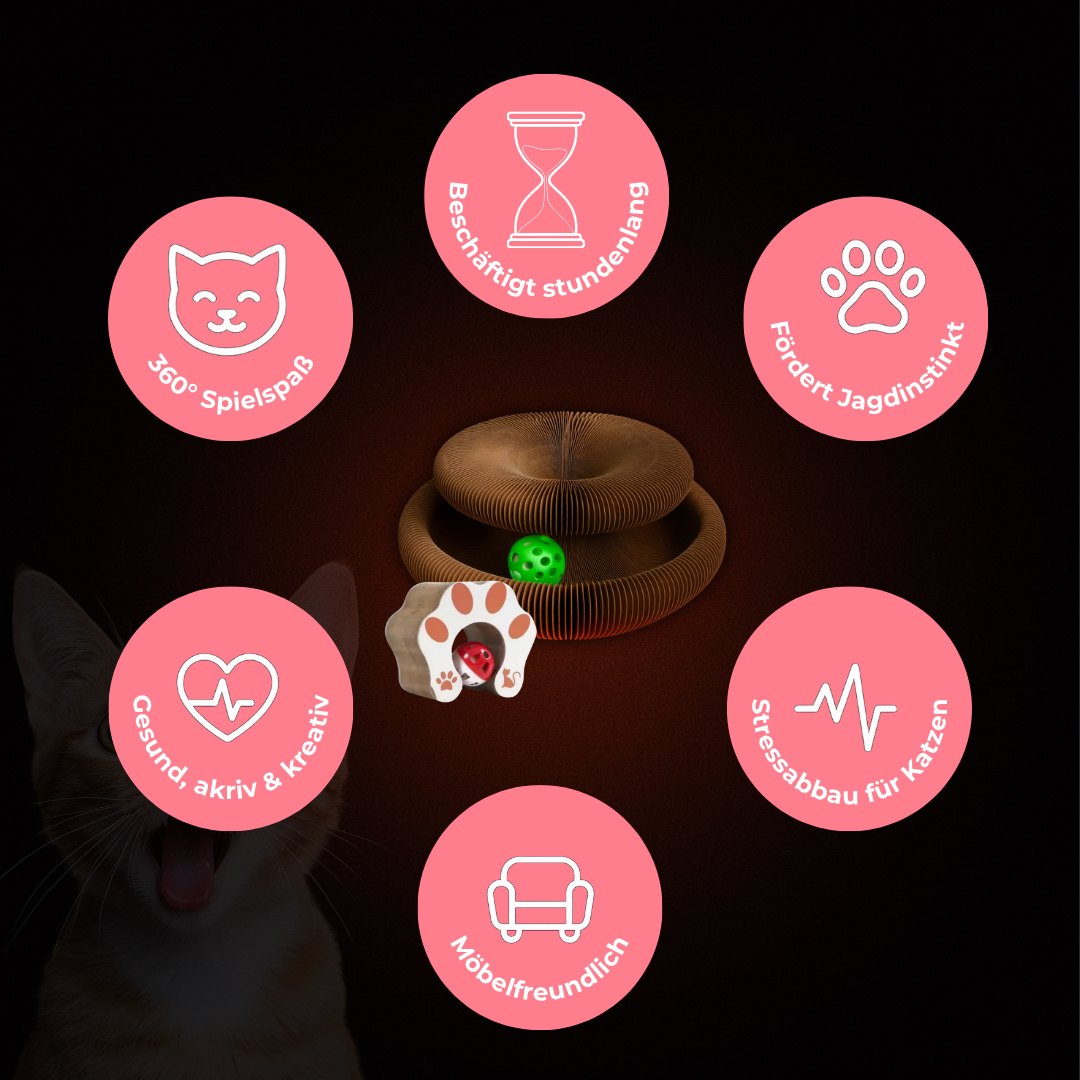 MauziLoop – Das Katzenspielzeug, das endlich wirklich funktioniert