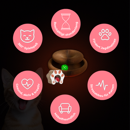 MauziLoop – Das Katzenspielzeug, das endlich wirklich funktioniert