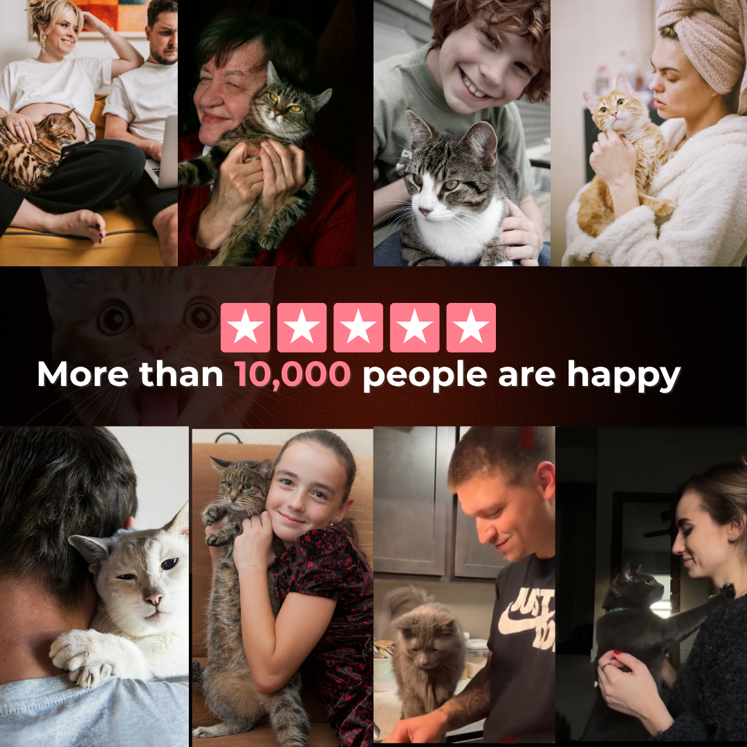 MauziLoop – Das Katzenspielzeug, das endlich wirklich funktioniert