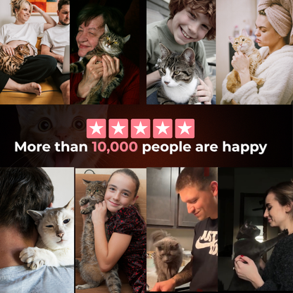 MauziLoop – Das Katzenspielzeug, das endlich wirklich funktioniert