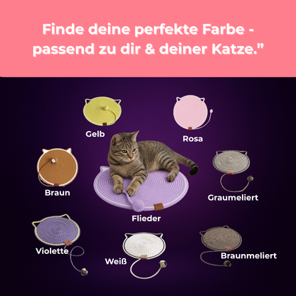 Kratzly – Wo Funktion auf Stil trifft