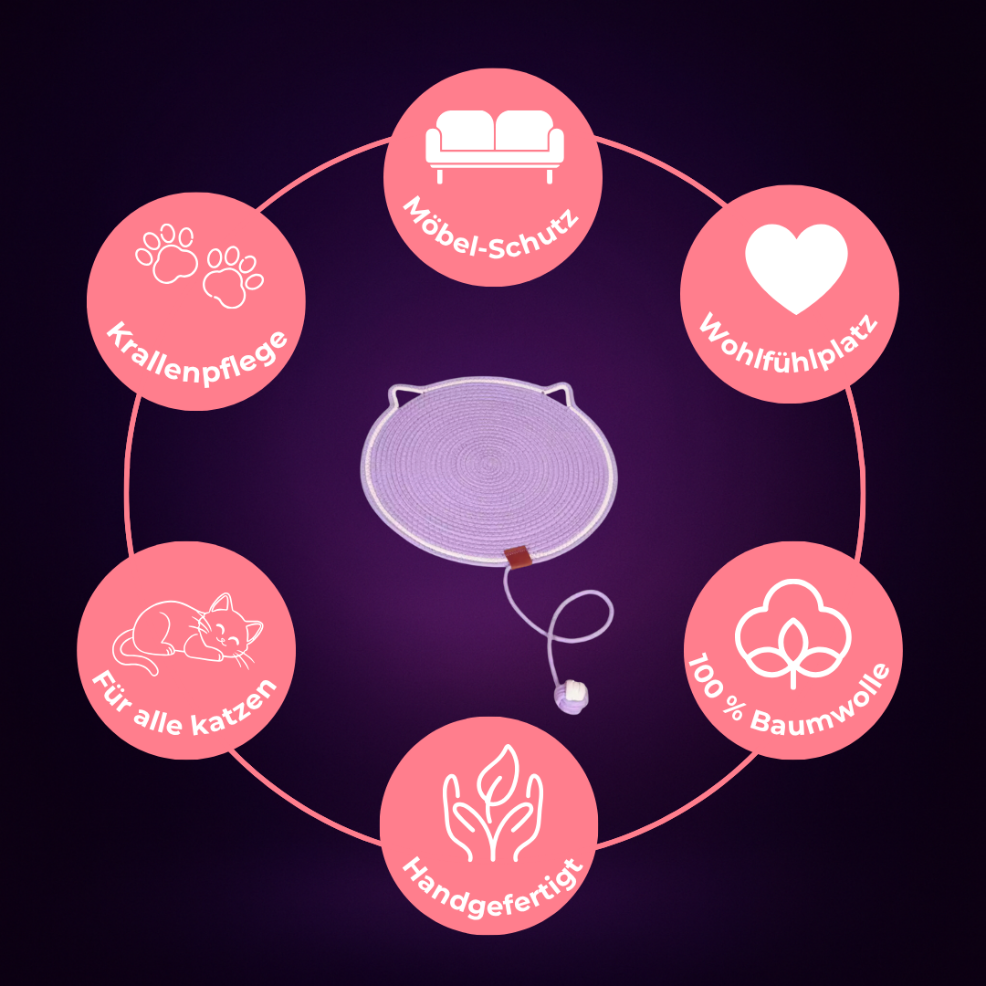 Kratzly – Wo Funktion auf Stil trifft