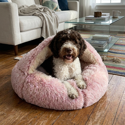 Moluu – weiches, beruhigendes Hundebett. - OddsandEndsBazaar