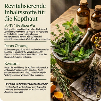 Korean Root Bar - OddsandEndsBazaar